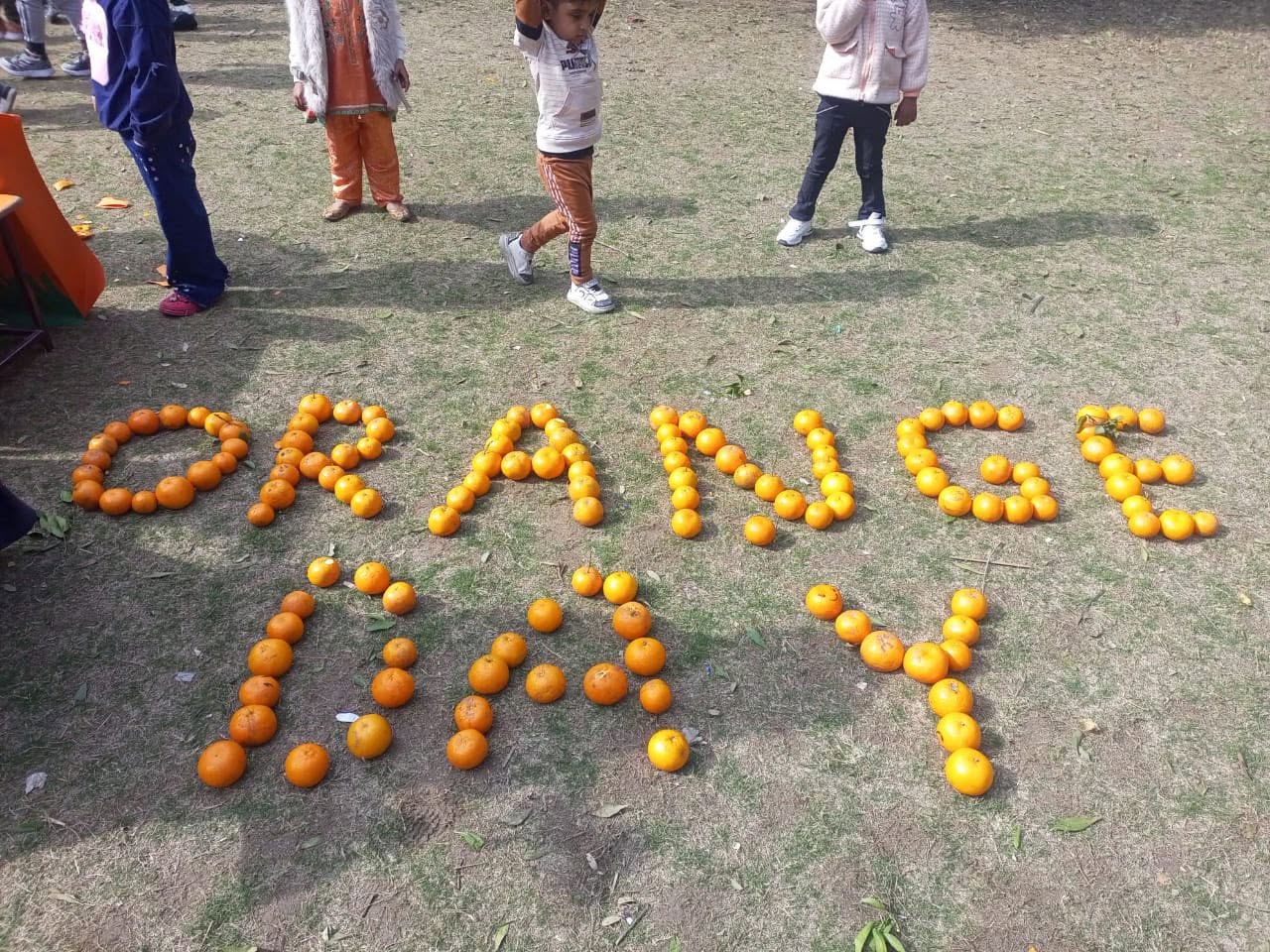 Oranges arranged for Orange Day at The Royal School